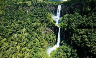 Aberdare National Park 09 Kenya