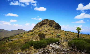 Aberdare National Park 10 Kenya