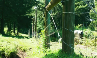 Aberdare National Park 11 Kenya