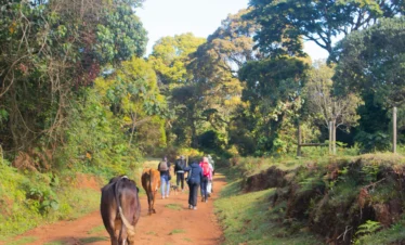 Aberdare National Park 12 Kenya