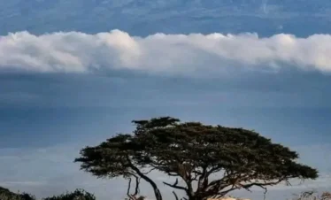 Amboseli National Park 01 Kenya