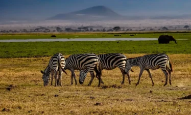 Amboseli National Park 03 Kenya