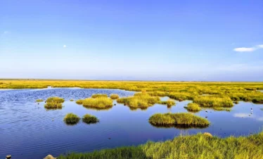 Amboseli National Park 04 Kenya