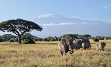 Amboseli National Park 06 Kenya