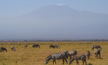 Amboseli National Park 07 Kenya