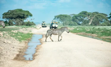 Amboseli National Park 22 Kenya