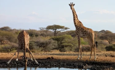 Chyulu Hills National Park 02 Kenya