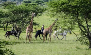 Chyulu Hills National Park 06 Kenya