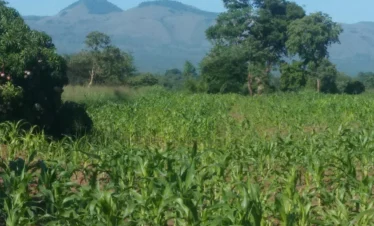 Chyulu Hills National Park 09 Kenya