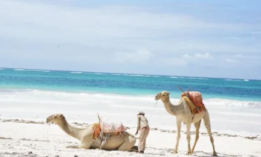 Diani Beach 19 Kenya