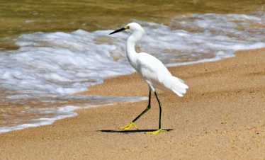 Diani Beach 23 Kenya