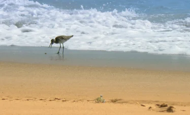 Diani Beach 24 Kenya