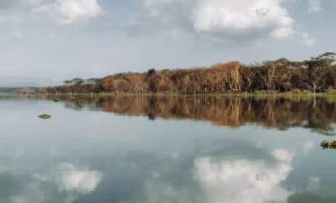 Lake Naivasha 02 Kenya