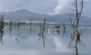 Lake Naivasha 03 Kenya