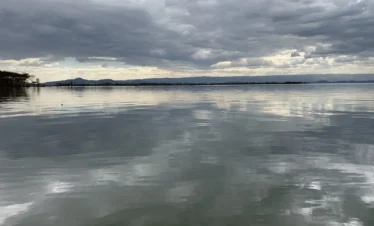 Lake Naivasha 04 Kenya