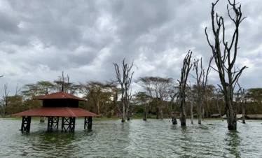 Lake Naivasha 10 Kenya
