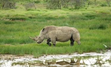 Lake Naivasha 29 Kenya