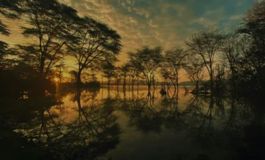 Lake Naivasha 30 Kenya