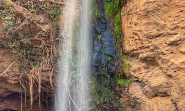 Lake Nakuru National Park 07 Kenya