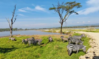 Lake Nakuru National Park 08 Kenya