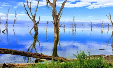 Lake Nakuru National Park 09 Kenya