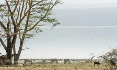 Lake Nakuru National Park 15 Kenya