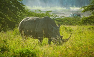 Lake Nakuru National Park 17 Kenya