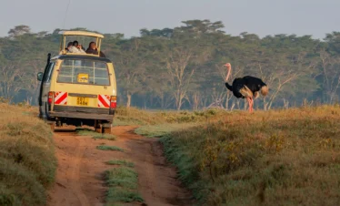 Lake Nakuru National Park 18 Kenya