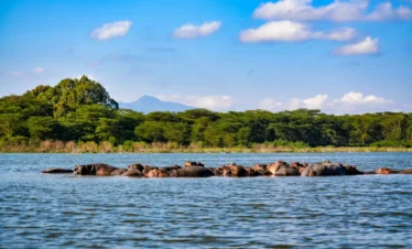 Lake Nakuru National Park 19 Kenya