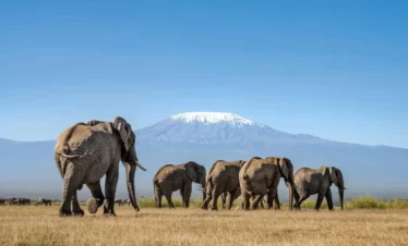 Maasai Mara National Reserve 02 Kenya