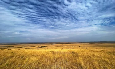 Maasai Mara National Reserve 03 Kenya