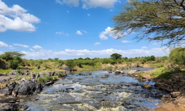 Maasai Mara National Reserve 05 Kenya