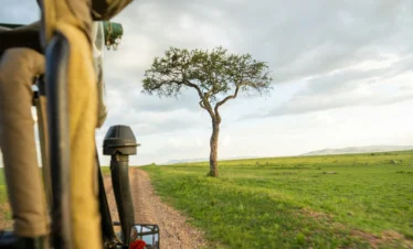 Maasai Mara National Reserve 31 Kenya
