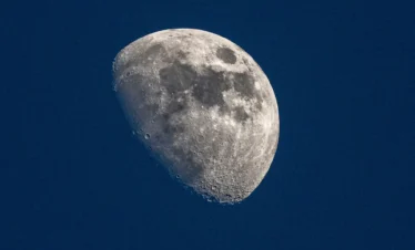 Maasai Mara National Reserve 36 Kenya