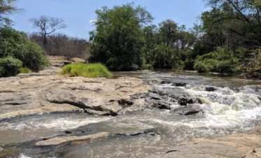 Meru National Park 04 Kenya
