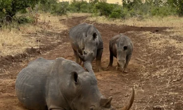 Meru National Park 05 Kenya