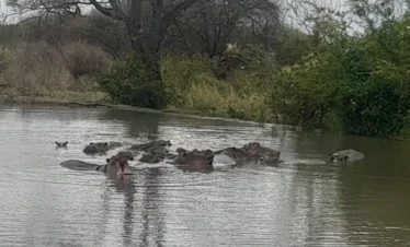 Meru National Park 08 Kenya