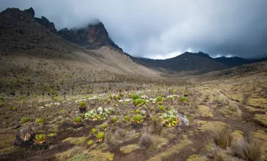 Mount Kenya National Park 03