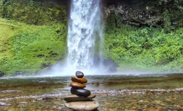 Mount Kenya National Park 06