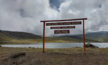 Mount Kenya National Park 10