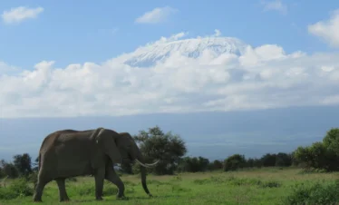 Mount Kenya National Park 11