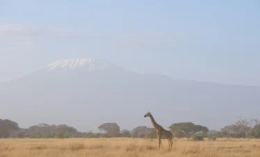 Mount Kenya National Park 13