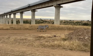 Nairobi National Park 04 Kenya