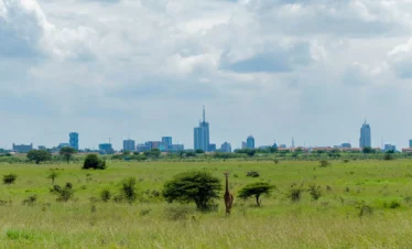 Nairobi National Park 17 Kenya