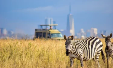 Nairobi National Park 24 Kenya