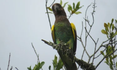 Ol Pejeta Conservancy 25 Kenya