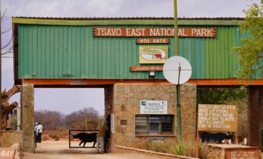 Tsavo East National Park 02 Kenya