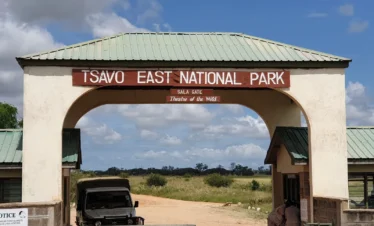 Tsavo East National Park 03 Kenya