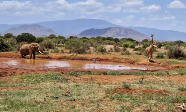 Tsavo East National Park 06 Kenya