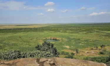Tsavo East National Park 17 Kenya